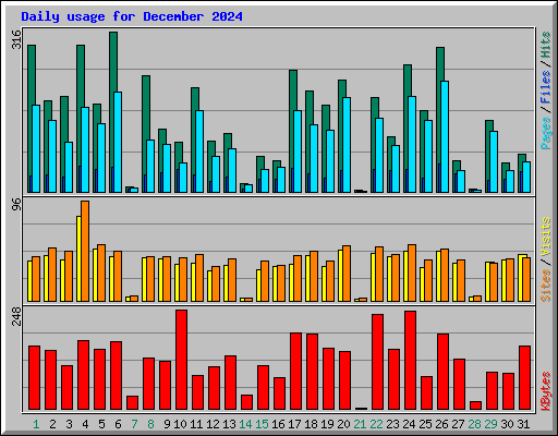 Daily usage for December 2024