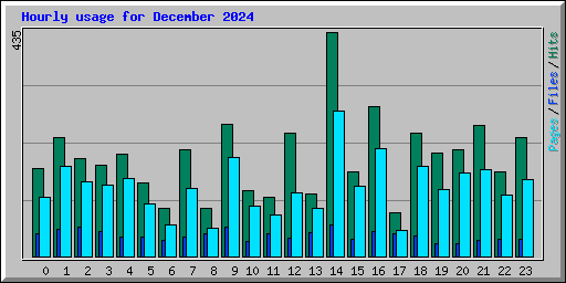 Hourly usage for December 2024