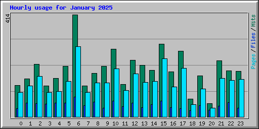 Hourly usage for January 2025