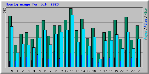 Hourly usage for July 2025