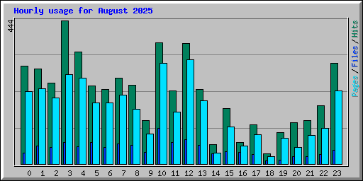 Hourly usage for August 2025