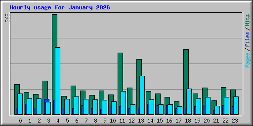 Hourly usage for January 2026